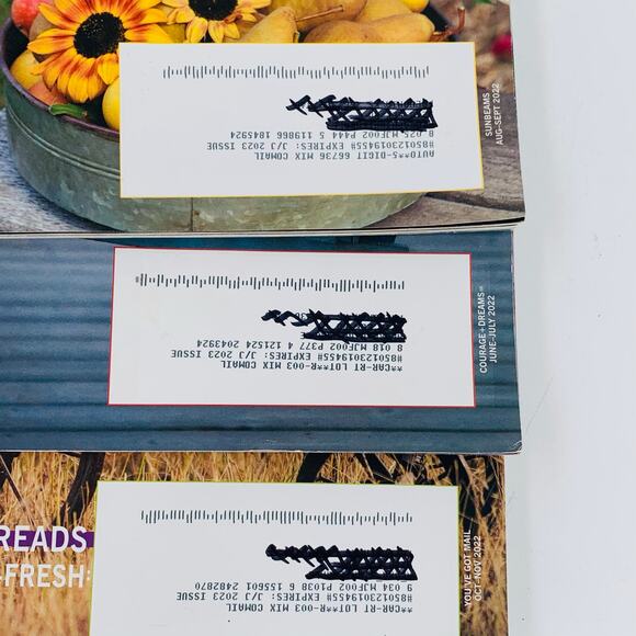 Mary Janes Farm Magazine Lot of 3 June - November 2022 Courage Dream Sunbeams - Picture 3 of 9